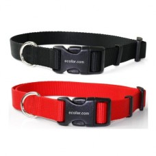 Nylon Collar with Quick release